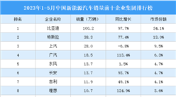 2023年1-5月中國新能源汽車銷量前十企業集團排行榜（附榜單）