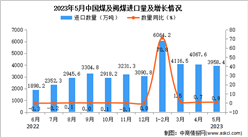 2023年5月中國煤及褐煤進口數據統計分析：累計進口量同比增長近九成