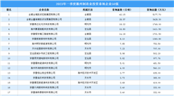 產業投資聚焦 | 2023年一季度滁州制造業土地投資50強企業匯總