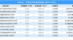 2023年一季度金華工業土地投資規模最大的十個項目，總投資超6億元