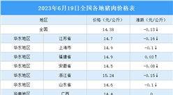 2023年6月20日全國各地最新豬肉價格行情走勢分析