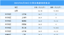 2023年6月21日全國各地最新豬肉價格行情走勢分析