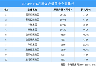 2023年1-5月原煤产量前十企业排行榜（附榜单）