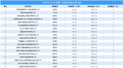 【產業投資情報】2023年上半年安徽工業土地投資50強企業摘走93宗地