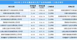 【項目投資動態】2023年上半年安徽省工業投資十大重點項目盤點