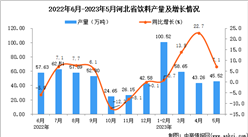 2023年5月河北飲料產量數據統計分析