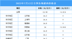 2023年7月13日全國各地最新生豬價格行情走勢分析