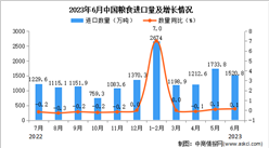 2023年6月中國糧食進口數據統計分析：累計進口量小幅增長