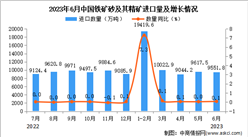 2023年6月中國鐵礦砂及其精礦進口數據統計分析：進口額小幅下降