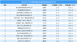 【招商引資成績分享】2023年上半年湖北制造業土地投資TOP50企業盤點