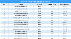產業投資動態 | 2023年上半年黃岡制造業50強企業涉地面積超200公頃