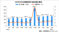 2023年6月中國紙漿進口數據統計分析：進口額增長顯著