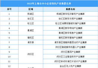 2023年上海市中小企業特色產業集群：閔行區最多（附完整名單）