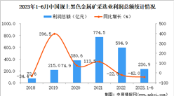 2023年1-6月中國黑色金屬礦采選業經營情況：利潤同比下降42%