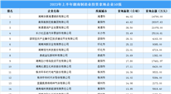 投資企業盤點 | 2023年上半年湖南制造業投資企業50強名單匯總（圖）