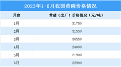 2023年6月中國磷化工產業運行情況：磷酸市場價格止跌小幅上漲（圖）