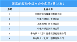 2023國家能源局全級次企業名單公布：共22家（圖）