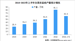 2023年上半年全國光伏制造行業運行情況：多晶硅產量同比增長66.1%