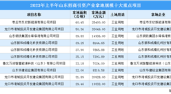 招商引資動態 | 2023年上半年山東招商引資產業拿地規模十大重點項目匯總