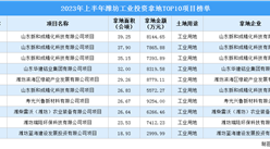 2023年上半年濰坊十大工業土地投資項目，涉地面積超296公頃