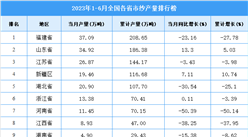2023年上半年全國各省市紗產量排行榜