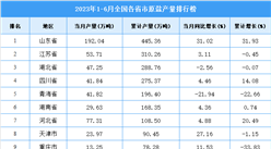 2023年上半年全國各省市原鹽產量排行榜