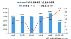 2023年1-6月中國啤酒出口數據統計分析：出口量同比增長22.2%