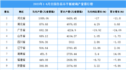 2023年上半年全國各省市平板玻璃產量排行榜