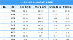 2023年上半年全國各省市純堿產量排行榜