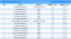 投資增速加快 2023年上半年濟寧制造業土地投資TOP50企業（圖）