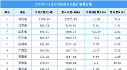 2023年上半年全國各省市生鐵產量排行榜