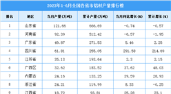 2023年上半年全國各省市鋁材產量排行榜