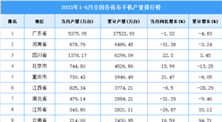 2023年上半年全國各省市手機產量排行榜