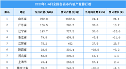 2023年上半年全國各省市汽油產量排行榜