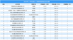 【產業投資情報】2023年上半年邢臺工業土地投資50強企業摘走68宗地