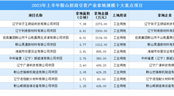 招商引資動態 | 2023年上半年鞍山招商引資產業拿地規模十大重點項目匯總