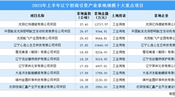 2023年上半年遼寧工業土地投資TOP10項目投資金額超6億 投資面積228公頃