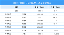 2023年8月22日全國各地最新玉米價格行情走勢分析