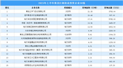 總投資超3億元 2023年上半年黑龍江制造業投資企業30強匯總