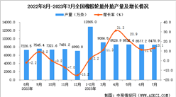 2023年7月全國橡膠輪胎外胎產量數據統計分析