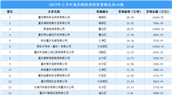 產業投資聚焦 | 2023年上半年重慶制造業土地投資50強企業匯總