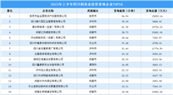 【招商引資成績分享】2023年上半年四川制造業土地投資TOP50企業盤點