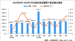2023年7月全國中厚寬鋼帶產量數據統計分析