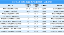 【項目投資動態】2023年上半年遵義工業投資十大重點項目盤點