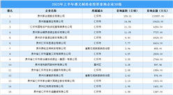 產業投資聚焦 | 2023年上半年遵義制造業土地投資30強企業匯總