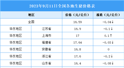 2023年9月12日全國各地最新生豬價格行情走勢分析