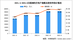 2023年上半年我國互聯網醫療用戶規模達3.64億 占網民整體的33.8%（圖）