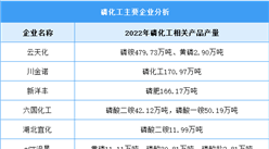 2023年磷化工主要產品及企業布局情況預測分析（圖）