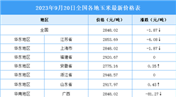 2023年9月21日全國各地最新玉米價格行情走勢分析