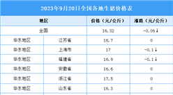 2023年9月21日全國各地最新生豬價格行情走勢分析